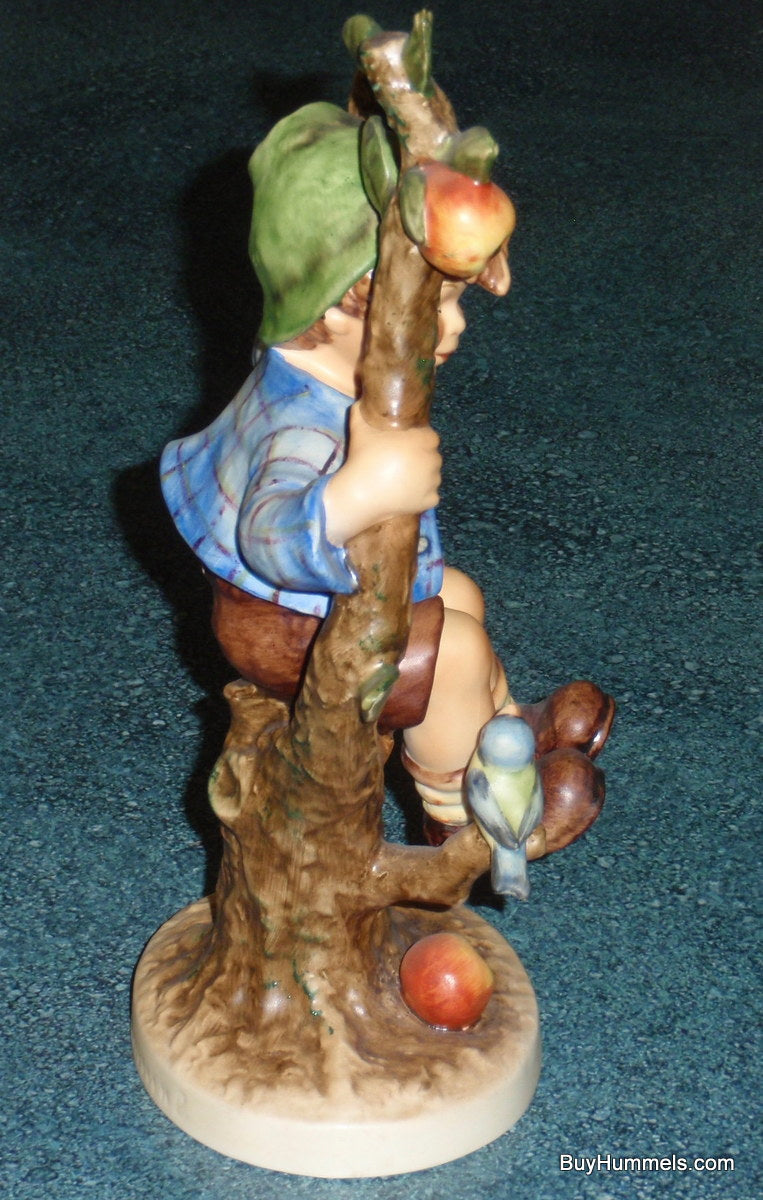 HUGE "Apple Tree Boy" Goebel Hummel Figurine #142/V 10-1/2" Tall - RARE!