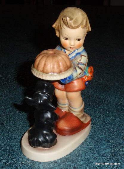 "Begging His Share" Goebel Hummel Figurine #9 - Puppy Dog Begging For Cake!