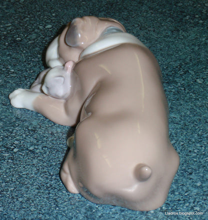 "Unlikely Friends" Lladro #6417 English Bulldog & Kitten Figurine (Retired)