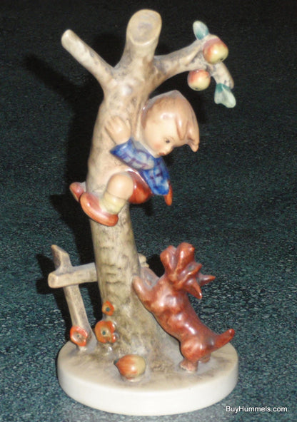 1950s "Culprits" Goebel Hummel Figurine #56/A TMK2 FULL BEE - Cute Antique Gift!
