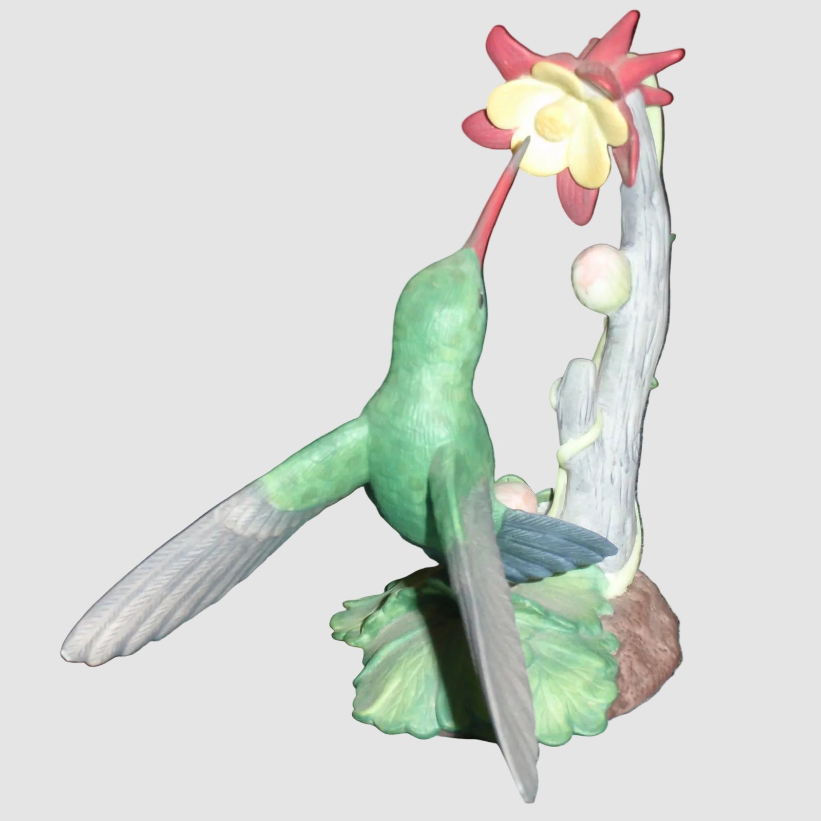 Broad-Billed Hummingbird