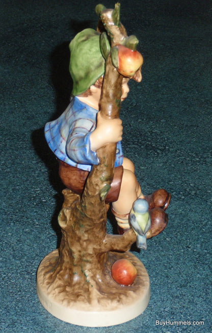 HUGE "Apple Tree Boy" Goebel Hummel Figurine #142/V 10-1/2" Tall - RARE!